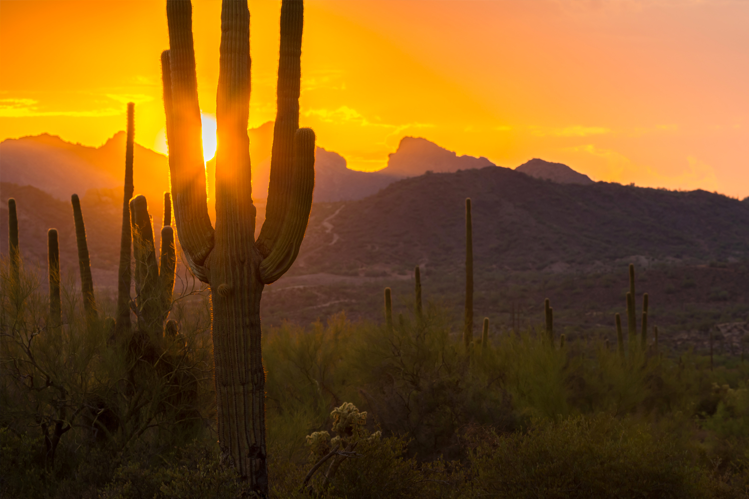 Blog post image for Scottsdale Has Fans Across the Pond